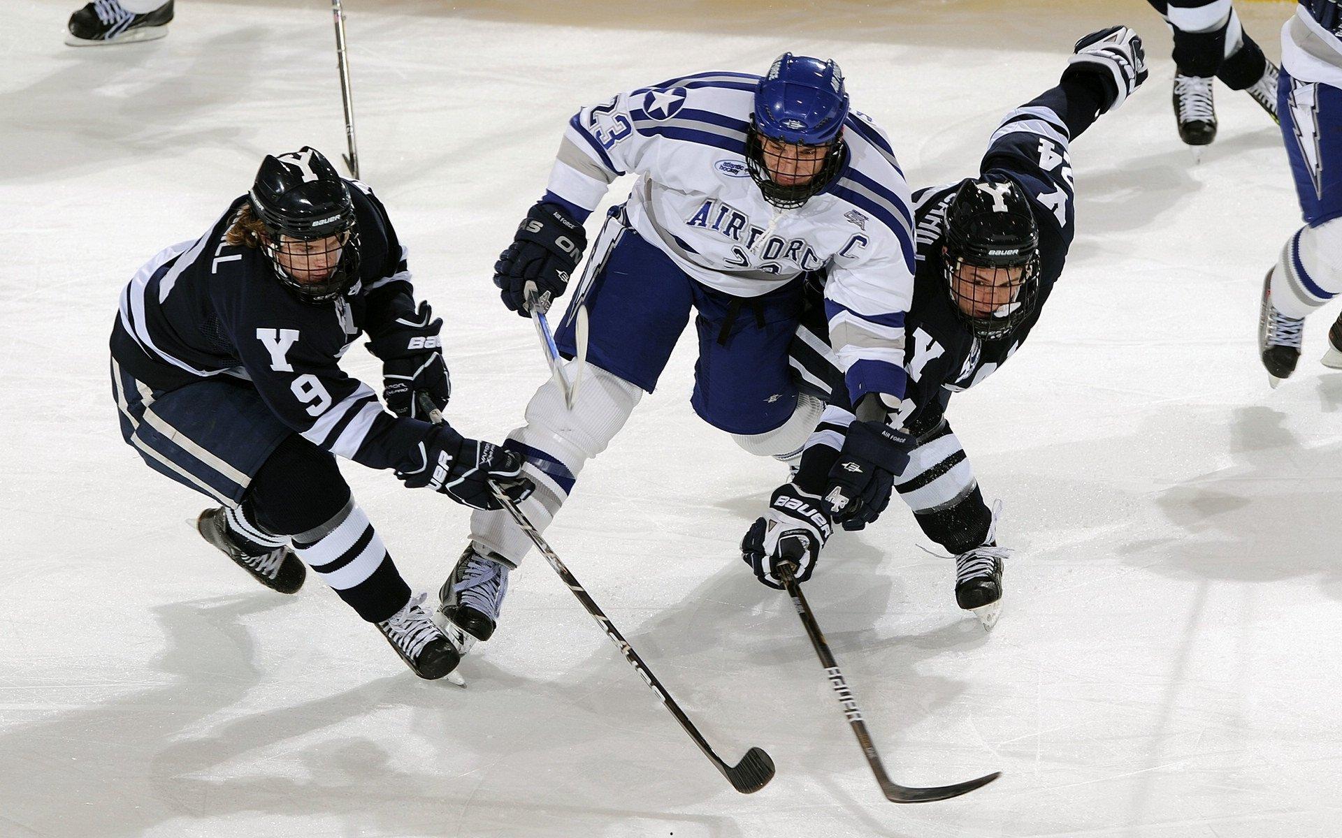 林良锋再评博格巴（下）比杰拉德和图雷差了多远？